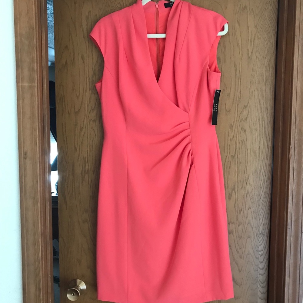 Lovely pink Alex Marie dress